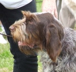 Filename=L-CremeOfTheCrop2.JPG
Filesize=75KiB
Dimensions=600x575
Date added=Sep 16, 2009 L-CremeOfTheCrop2.JPG