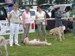 Filename=Limit dog.JPG
Filesize=76KiB
Dimensions=600x450
Date added=Sep 16, 2009 Limit dog.JPG