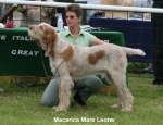Filename=M-MareLeone.jpg
Filesize=63KiB
Dimensions=650x500
Date added=Sep 16, 2009 M-MareLeone.jpg