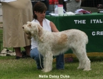 Filename=N-DaisyDuke.jpg
Filesize=57KiB
Dimensions=650x500
Date added=Sep 16, 2009 N-DaisyDuke.jpg
