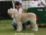 Filename=N-DixieChick.jpg
Filesize=56KiB
Dimensions=650x500
Date added=Sep 16, 2009 N-DixieChick.jpg