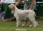 Filename=R-Carisma.jpg
Filesize=66KiB
Dimensions=700x500
Date added=Sep 16, 2009 R-Carisma.jpg