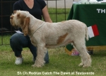 Filename=R-CatchTheDawn.jpg
Filesize=60KiB
Dimensions=700x500
Date added=Sep 16, 2009 R-CatchTheDawn.jpg