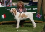 Filename=R-Luciano.jpg
Filesize=65KiB
Dimensions=700x500
Date added=Sep 16, 2009 R-Luciano.jpg
