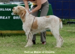 Filename=R-MakerOfDreams.jpg
Filesize=67KiB
Dimensions=700x500
Date added=Sep 16, 2009 R-MakerOfDreams.jpg