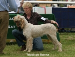 Filename=T-Balena.jpg
Filesize=64KiB
Dimensions=650x500
Date added=Sep 16, 2009 T-Balena.jpg