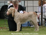 Filename=W-RubyTuesday.jpg
Filesize=59KiB
Dimensions=650x500
Date added=Sep 16, 2009 W-RubyTuesday.jpg
