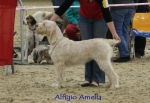 Filename=A-Amelia.jpg
Filesize=55KiB
Dimensions=650x450
Date added=Sep 16, 2009 A-Amelia.jpg