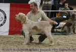 Filename=B-Boscarelli.jpg
Filesize=69KiB
Dimensions=650x450
Date added=Sep 16, 2009 B-Boscarelli.jpg