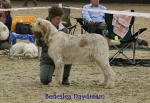 Filename=B-Daydream.jpg
Filesize=74KiB
Dimensions=650x450
Date added=Sep 16, 2009 B-Daydream.jpg