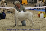 Filename=B-EcoDiMare.jpg
Filesize=70KiB
Dimensions=650x450
Date added=Sep 16, 2009 B-EcoDiMare.jpg