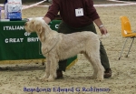 Filename=B-EdwardGRobinson.jpg
Filesize=67KiB
Dimensions=650x450
Date added=Sep 16, 2009 B-EdwardGRobinson.jpg