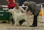 Filename=B-SweetDreams.jpg
Filesize=61KiB
Dimensions=650x450
Date added=Sep 16, 2009 B-SweetDreams.jpg