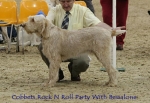 Filename=C-RockNRollParty.jpg
Filesize=63KiB
Dimensions=650x450
Date added=Sep 16, 2009 C-RockNRollParty.jpg