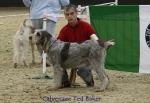 Filename=C-TedBaker.jpg
Filesize=57KiB
Dimensions=650x450
Date added=Sep 16, 2009 C-TedBaker.jpg