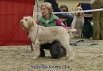 Filename=F-RoccaChe.jpg
Filesize=60KiB
Dimensions=650x450
Date added=Sep 16, 2009 F-RoccaChe.jpg