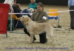 Filename=O-BreathOfHope.jpg
Filesize=73KiB
Dimensions=650x450
Date added=Sep 16, 2009 O-BreathOfHope.jpg