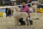 Filename=R-LittleSister.jpg
Filesize=67KiB
Dimensions=650x450
Date added=Sep 16, 2009 R-LittleSister.jpg