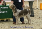 Filename=S-Izzeta.jpg
Filesize=74KiB
Dimensions=650x450
Date added=Sep 16, 2009 S-Izzeta.jpg