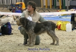 Filename=S-Natalia.jpg
Filesize=86KiB
Dimensions=650x450
Date added=Sep 16, 2009 S-Natalia.jpg
