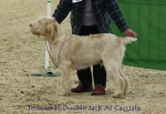 Filename=T-DoubleJack.jpg
Filesize=60KiB
Dimensions=650x450
Date added=Sep 16, 2009 T-DoubleJack.jpg