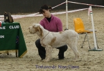 Filename=T-NewDawn.jpg
Filesize=72KiB
Dimensions=650x450
Date added=Sep 16, 2009 T-NewDawn.jpg