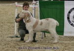 Filename=W-CrackerJack.jpg
Filesize=68KiB
Dimensions=650x450
Date added=Sep 16, 2009 W-CrackerJack.jpg