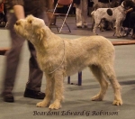 Filename=B-EdwardGRobinson.jpg
Filesize=52KiB
Dimensions=600x528
Date added=Sep 16, 2009 B-EdwardGRobinson.jpg