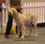 Filename=B-RudeBoy.jpg
Filesize=52KiB
Dimensions=600x580
Date added=Sep 16, 2009 B-RudeBoy.jpg