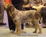 Filename=C-SassySalsa.jpg
Filesize=57KiB
Dimensions=600x483
Date added=Sep 16, 2009 C-SassySalsa.jpg
