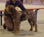 Filename=L-NippySweetie.jpg
Filesize=51KiB
Dimensions=600x509
Date added=Sep 16, 2009 L-NippySweetie.jpg