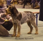 Filename=M-Baradello.jpg
Filesize=62KiB
Dimensions=600x575
Date added=Sep 16, 2009 M-Baradello.jpg
