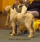Filename=R-MakerOfDreams.jpg
Filesize=58KiB
Dimensions=600x631
Date added=Sep 16, 2009 R-MakerOfDreams.jpg