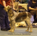 Filename=S-Izzeta.jpg
Filesize=64KiB
Dimensions=600x584
Date added=Sep 16, 2009 S-Izzeta.jpg