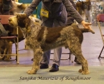 Filename=S-Maurizio.jpg
Filesize=63KiB
Dimensions=600x490
Date added=Sep 16, 2009 S-Maurizio.jpg