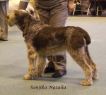 Filename=S-Natalia.jpg
Filesize=56KiB
Dimensions=600x541
Date added=Sep 16, 2009 S-Natalia.jpg