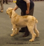 Filename=T-DoubleJack.jpg
Filesize=50KiB
Dimensions=600x634
Date added=Sep 16, 2009 T-DoubleJack.jpg