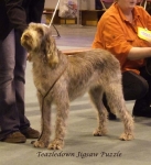 Filename=T-JigsawPuzzle.jpg
Filesize=64KiB
Dimensions=600x654
Date added=Sep 16, 2009 T-JigsawPuzzle.jpg