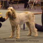 Filename=T-MaudEarl.jpg
Filesize=57KiB
Dimensions=600x599
Date added=Sep 16, 2009 T-MaudEarl.jpg