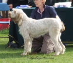 Filename=T-Balena.jpg
Filesize=70KiB
Dimensions=600x523
Date added=Sep 16, 2009 T-Balena.jpg
