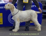 Filename=B-CuttingEdge.jpg
Filesize=46KiB
Dimensions=650x514
Date added=Sep 16, 2009 B-CuttingEdge.jpg