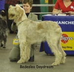 Filename=B-Daydream-2.jpg
Filesize=62KiB
Dimensions=600x589
Date added=Sep 16, 2009 B-Daydream-2.jpg