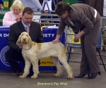 Filename=B-FayWray.jpg
Filesize=53KiB
Dimensions=650x543
Date added=Sep 16, 2009 B-FayWray.jpg