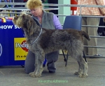 Filename=K-Adhewans.jpg
Filesize=58KiB
Dimensions=650x534
Date added=Sep 16, 2009 K-Adhewans.jpg