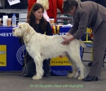 Filename=K-Newl.jpg
Filesize=56KiB
Dimensions=650x558
Date added=Sep 16, 2009 K-Newl.jpg