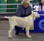 Filename=K-Trevy.jpg
Filesize=53KiB
Dimensions=650x607
Date added=Sep 16, 2009 K-Trevy.jpg
