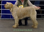 Filename=M-DizzyBlonde.jpg
Filesize=47KiB
Dimensions=650x471
Date added=Sep 16, 2009 M-DizzyBlonde.jpg
