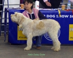 Filename=N-DaisyDuke.jpg
Filesize=53KiB
Dimensions=650x522
Date added=Sep 16, 2009 N-DaisyDuke.jpg