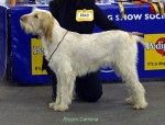 Filename=R-Carisma.jpg
Filesize=50KiB
Dimensions=650x498
Date added=Sep 16, 2009 R-Carisma.jpg