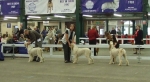 Filename=BB.JPG
Filesize=116KiB
Dimensions=1338x732
Date added=Sep 16, 2009 BB.JPG